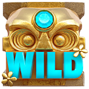 Символ Wild